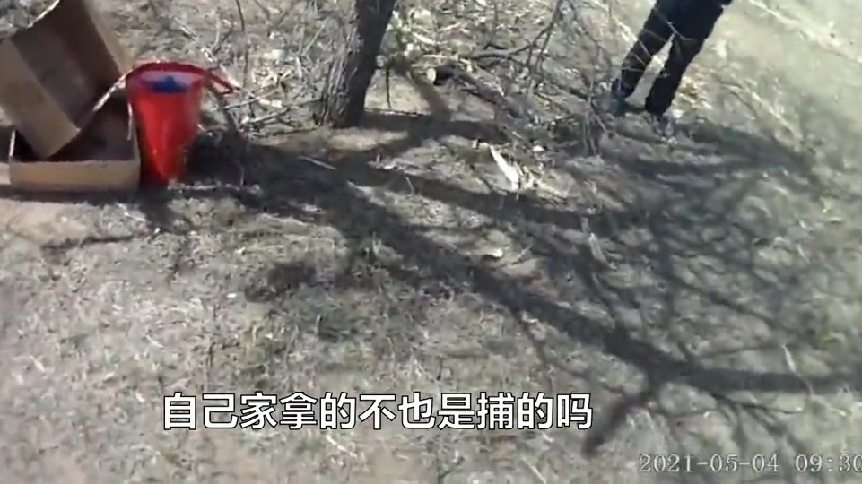 #案件播报#【法律出手,警示慎对鸟类动手】董某与卢某平时喜爱养鸟,但他们养的鸟不是在花鸟鱼