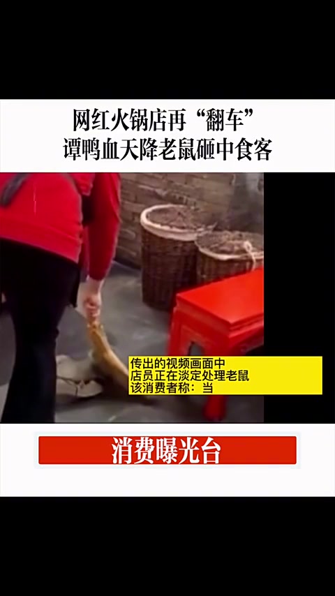 消费曝光台|网红火锅店再“翻车”,谭鸭血“天降老鼠”砸中食客