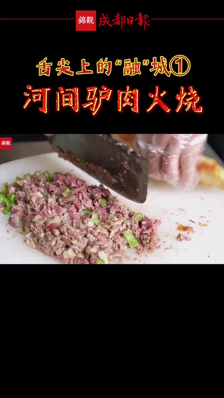 舌尖上的“融”城:河间 驴肉火烧 地方特色美食 蓉漂 成都