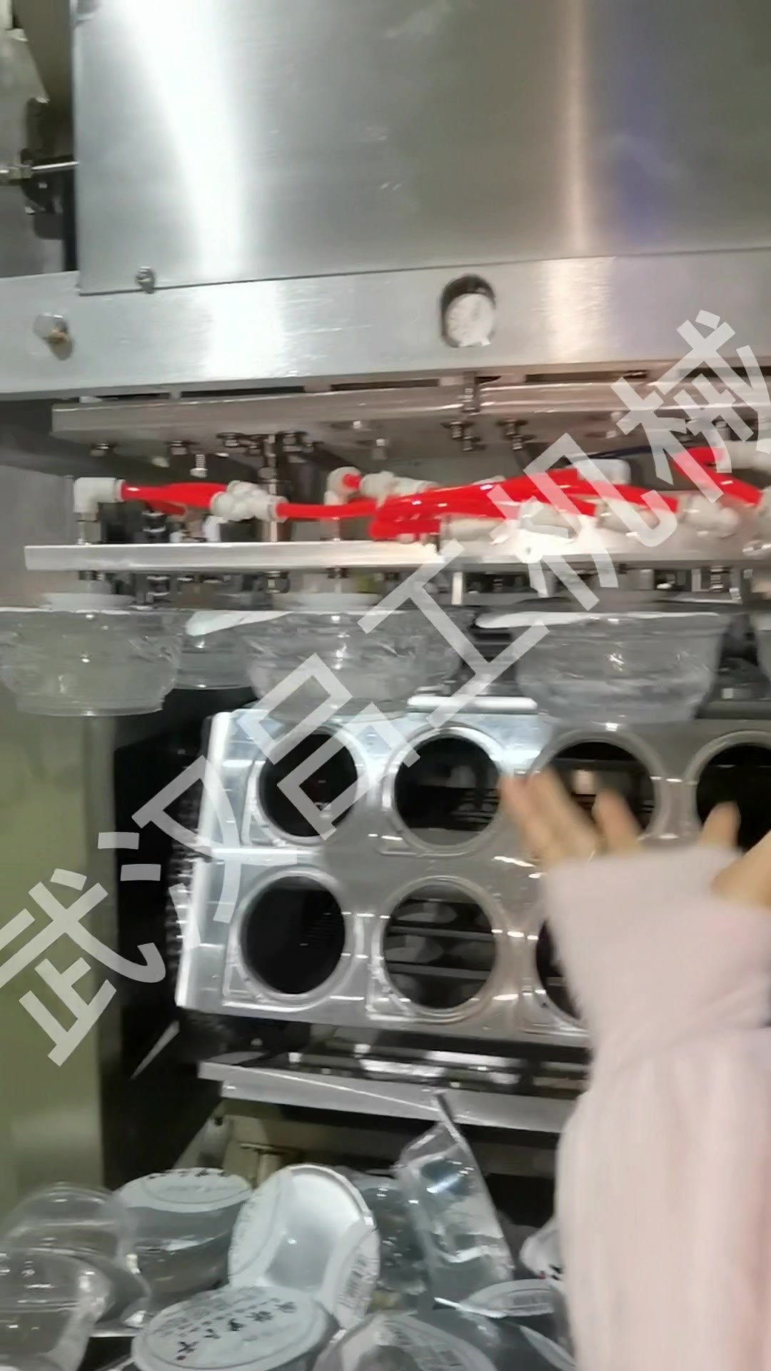 [塑料碗灌装封口机系列]碗装八宝粥灌装封口机,八宝粥灌装机