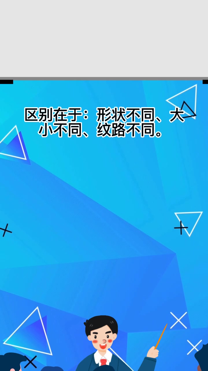 三文鱼腩与三文鱼区别