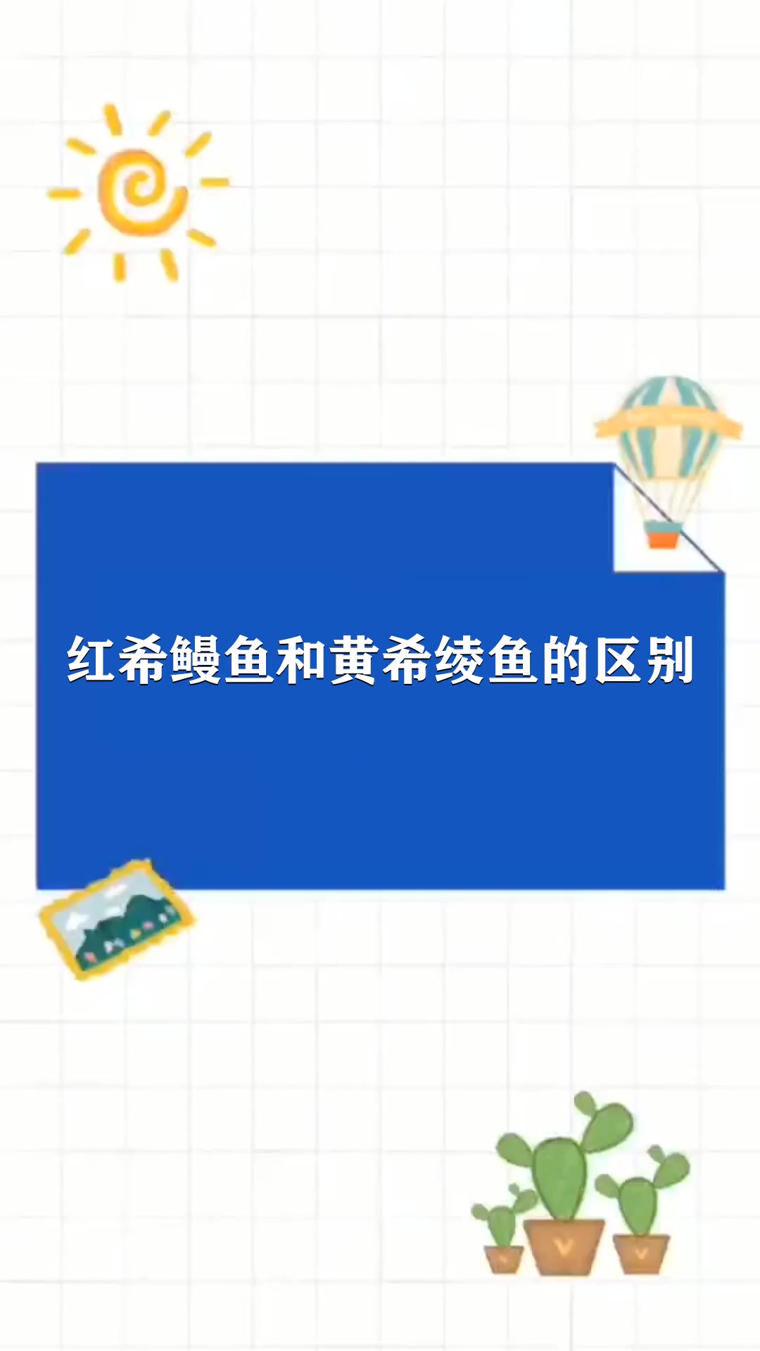 红希鲮鱼和黄希绫鱼的区别