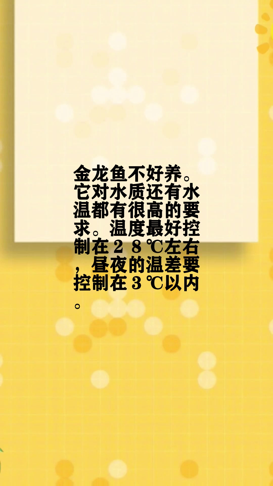 金龙鱼好养吗  
