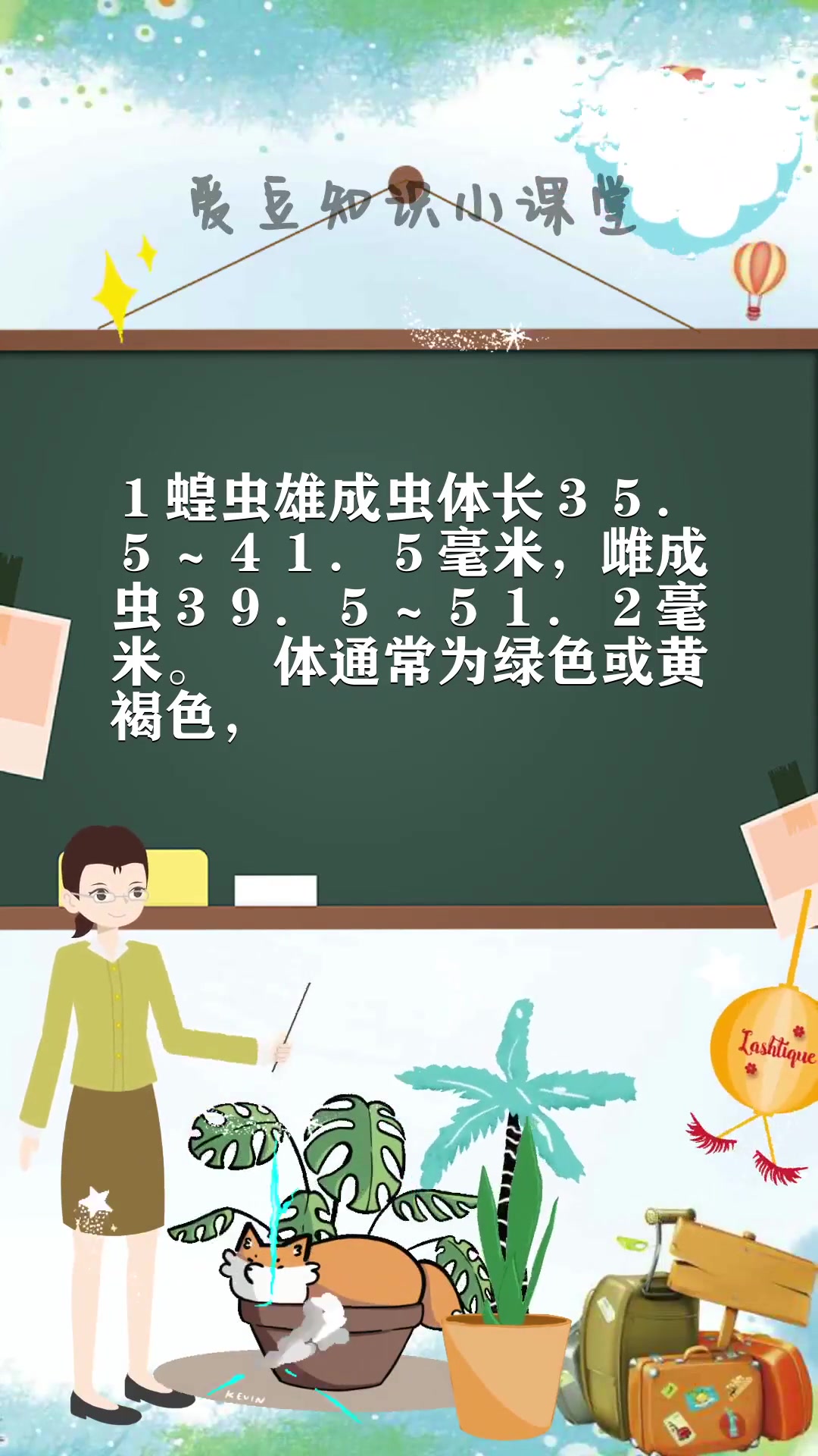 蝗虫的特点   