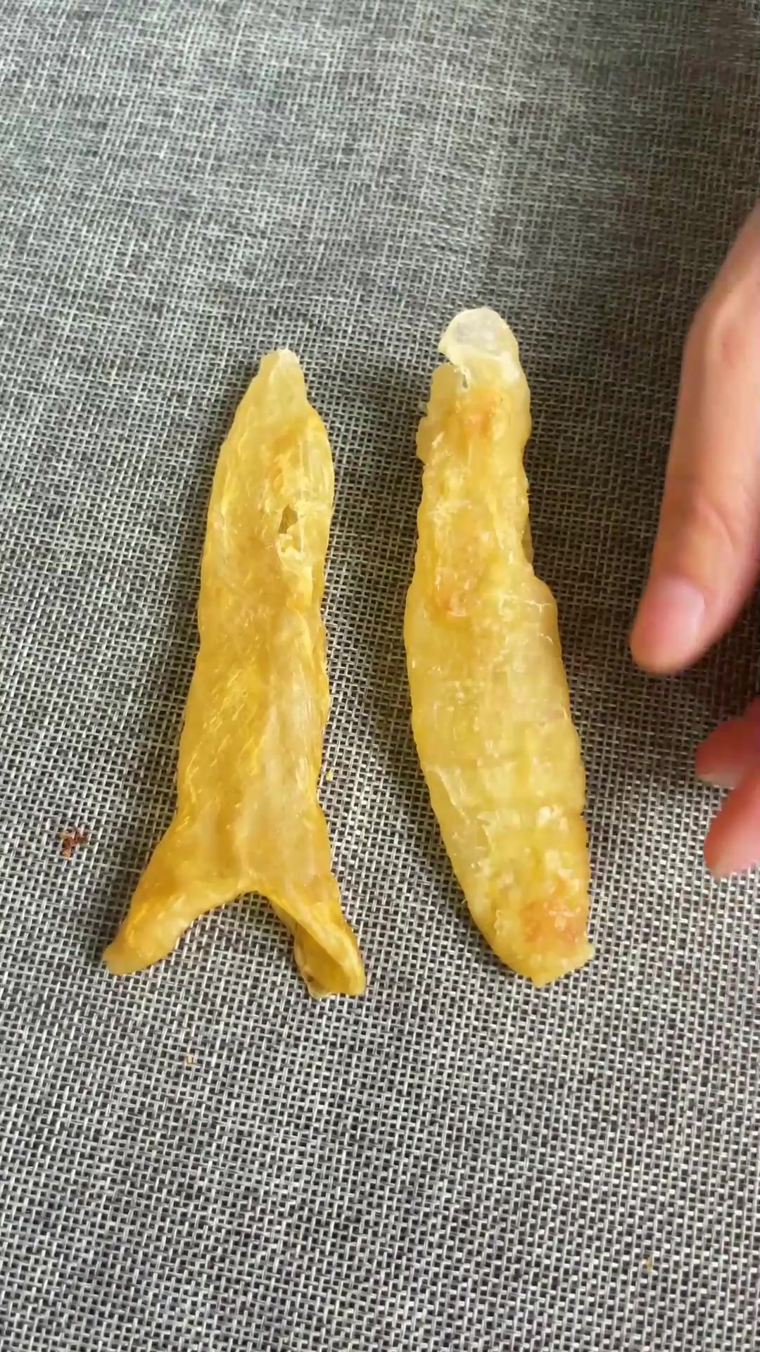 鱼胶知识之分辨合成鱼胶有技巧,教你三招,远离鱼胶坑