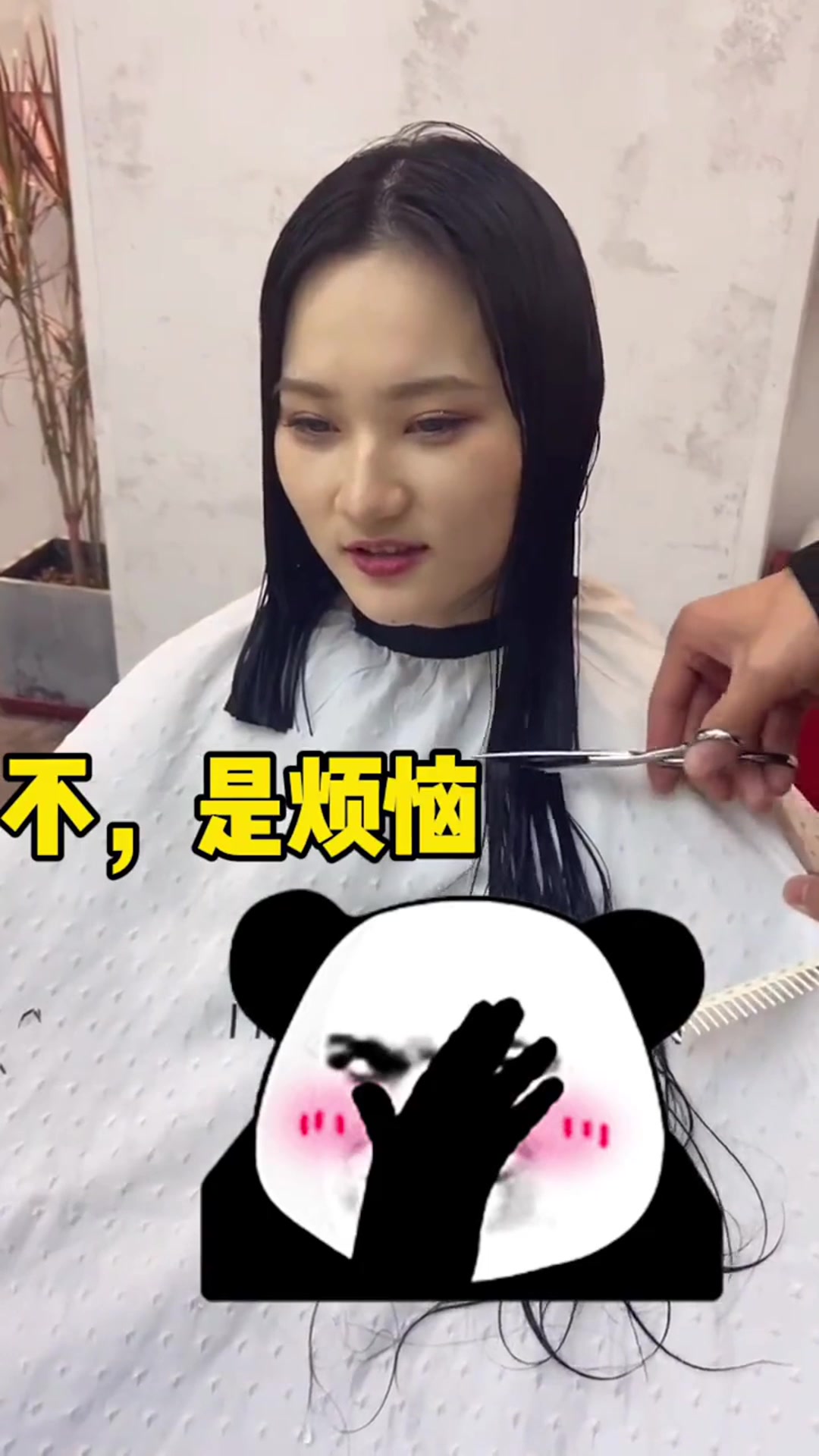 心心念念的鲻鱼头,这次终于去剪了!最后的成品才叫真的绝!