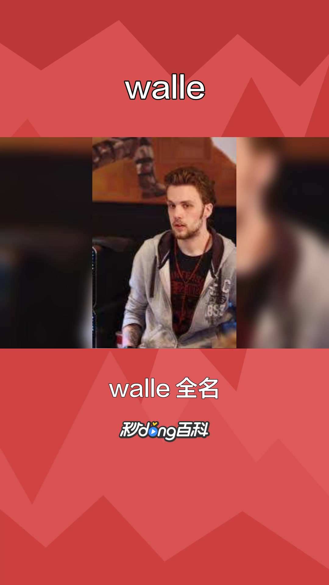一分钟了解瑞典CS职业玩家walle