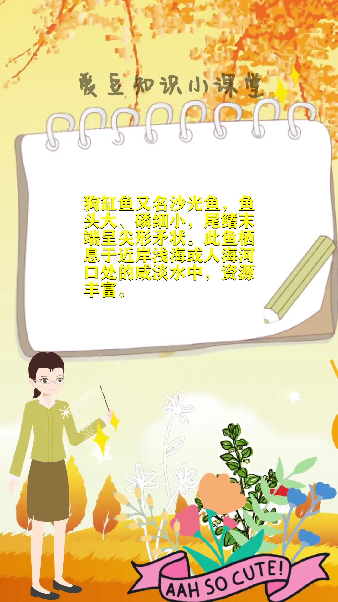 狗杠鱼的学名叫什么