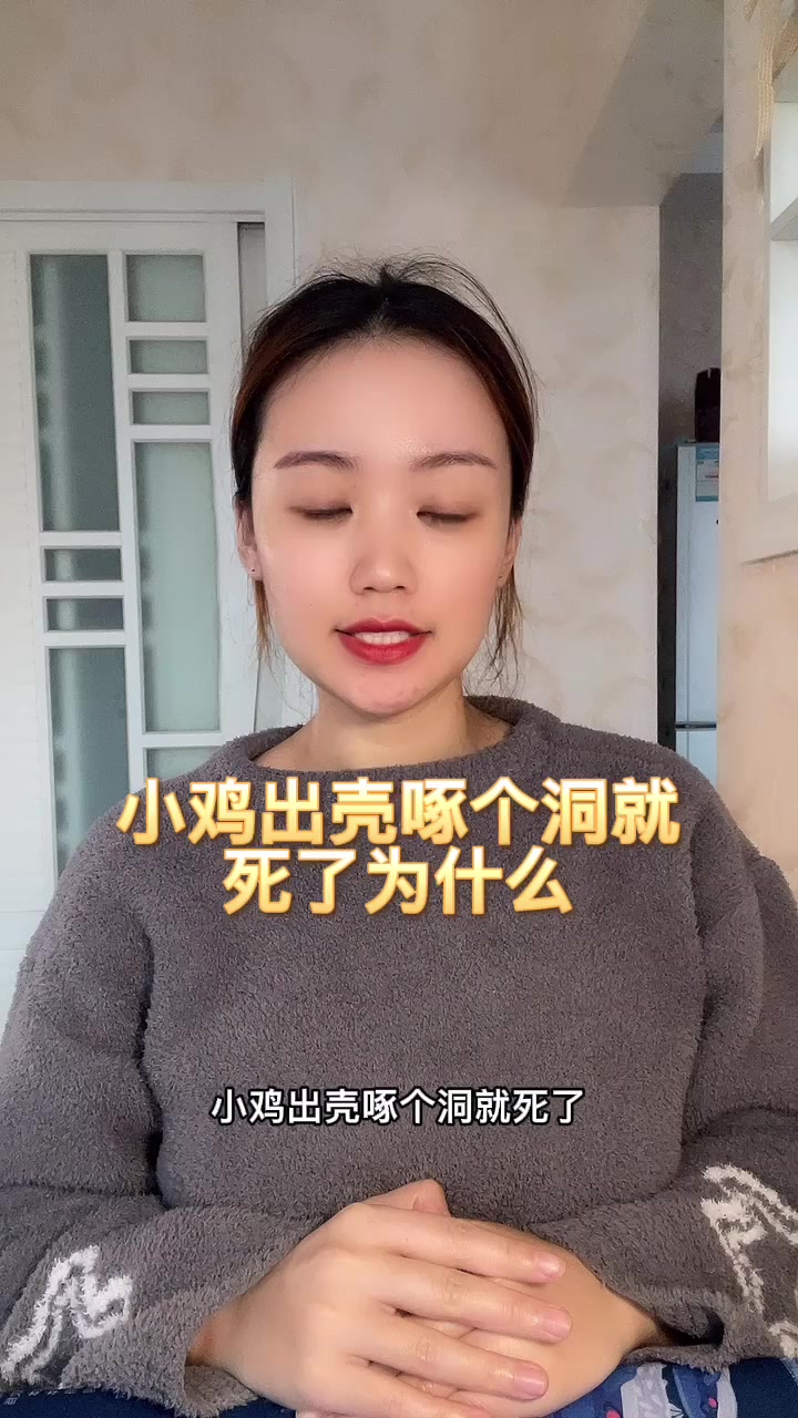 小鸡出壳啄个洞就死了为什么
