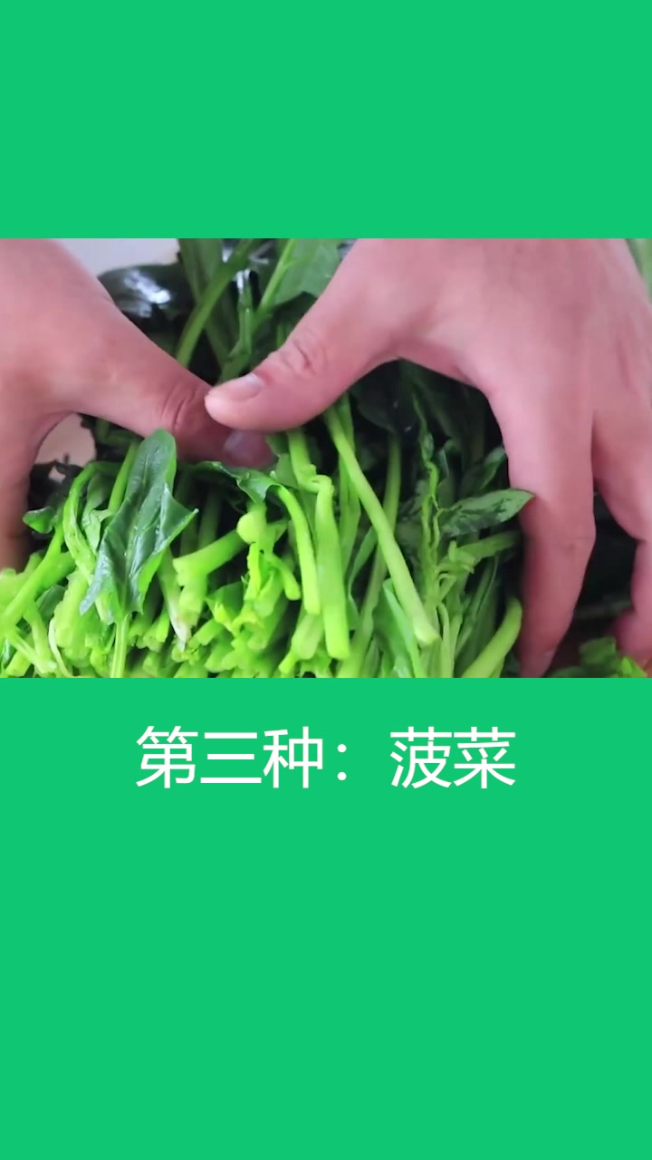 减肥吃哪些蔬菜瘦得快?营养专家推荐的7种绿叶菜