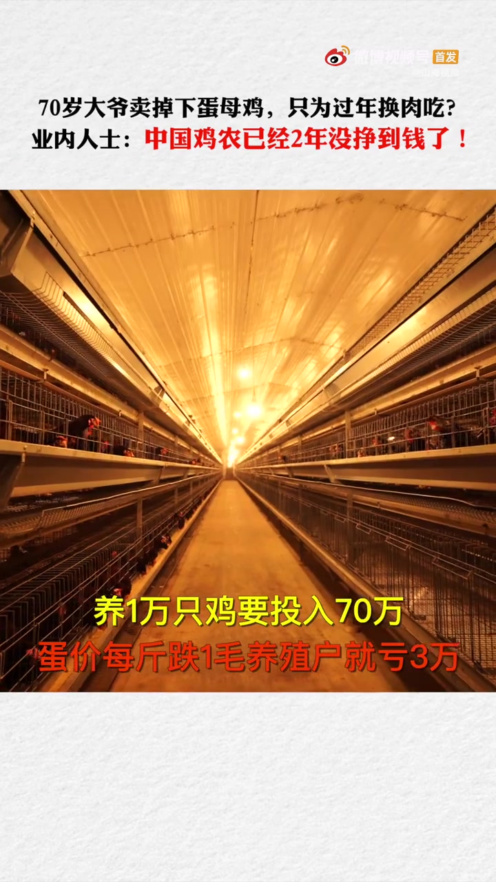 【卖鸡蛋不赚钱,70岁大爷卖母鸡只为过年买肉吃?养殖户:已经两年没挣到钱了】近段时间鸡蛋行