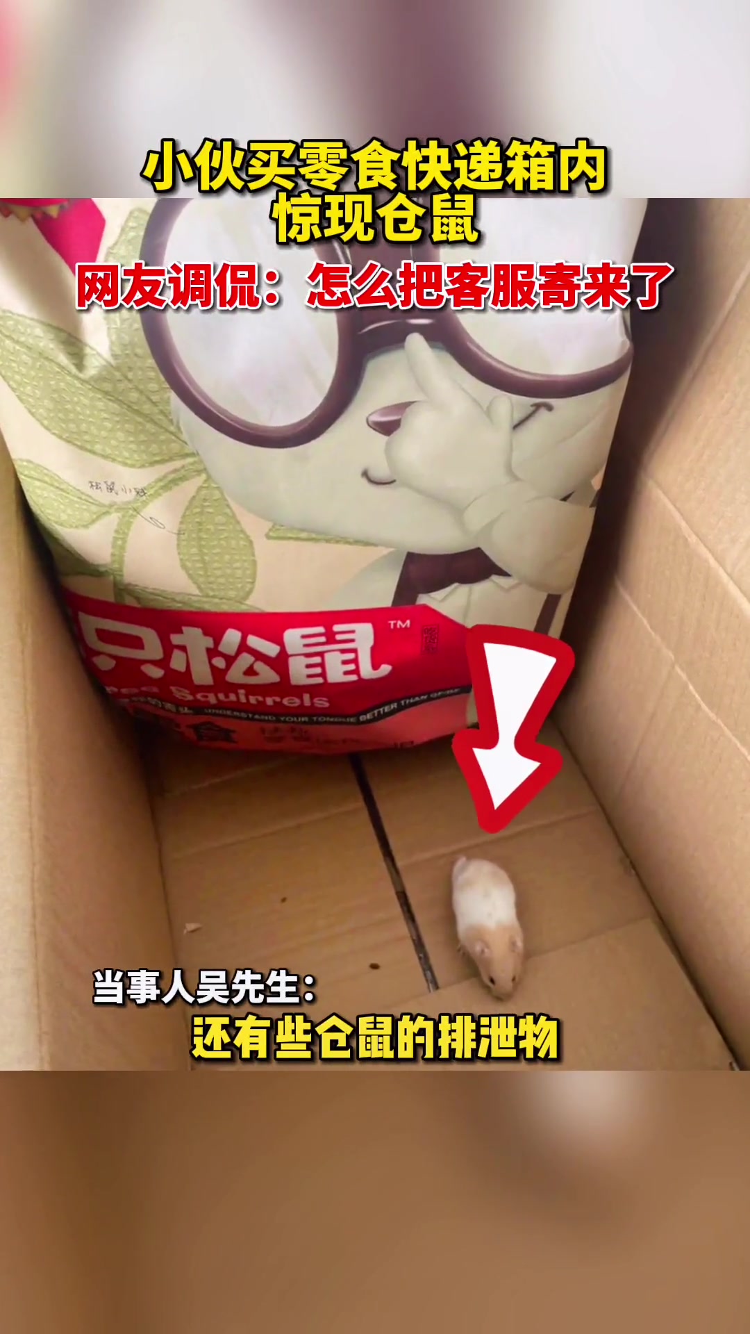 购买零食礼包,没想到快递箱内竟有一只仓鼠,还有排泄物