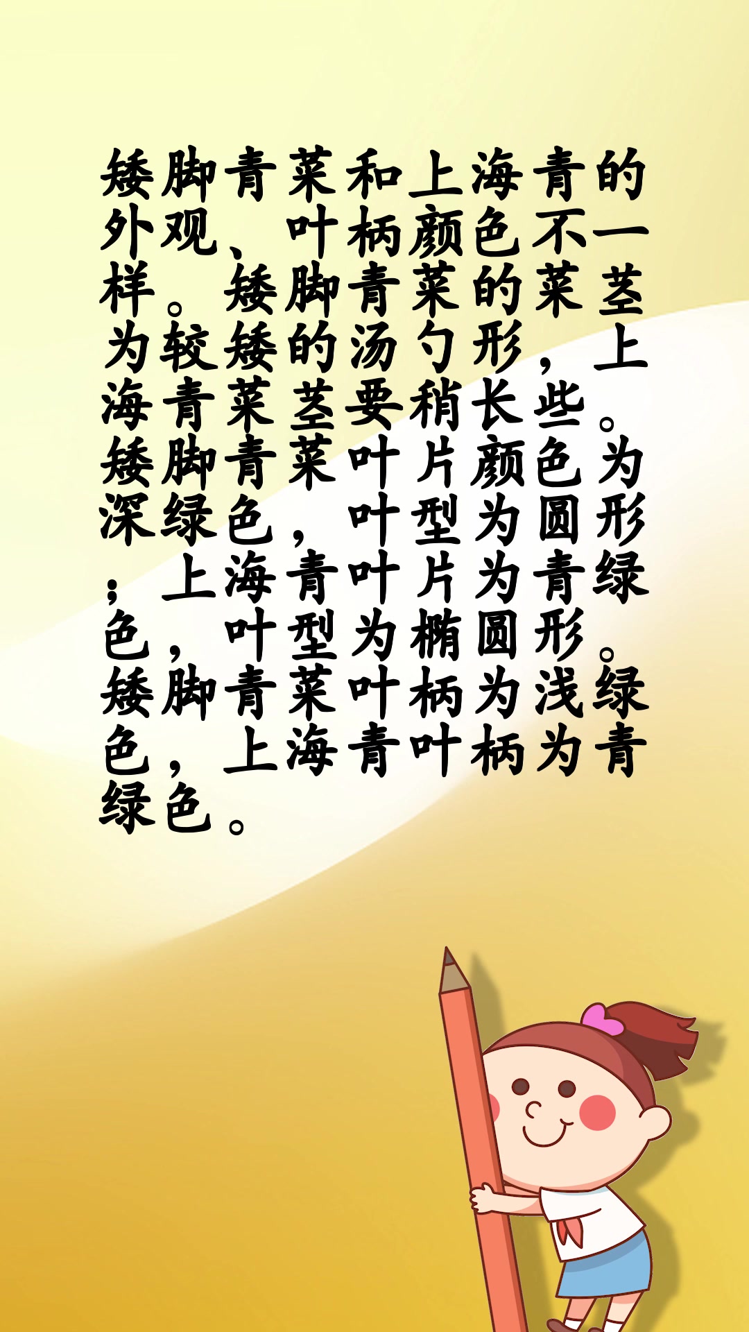 矮脚青菜和上海青区别
