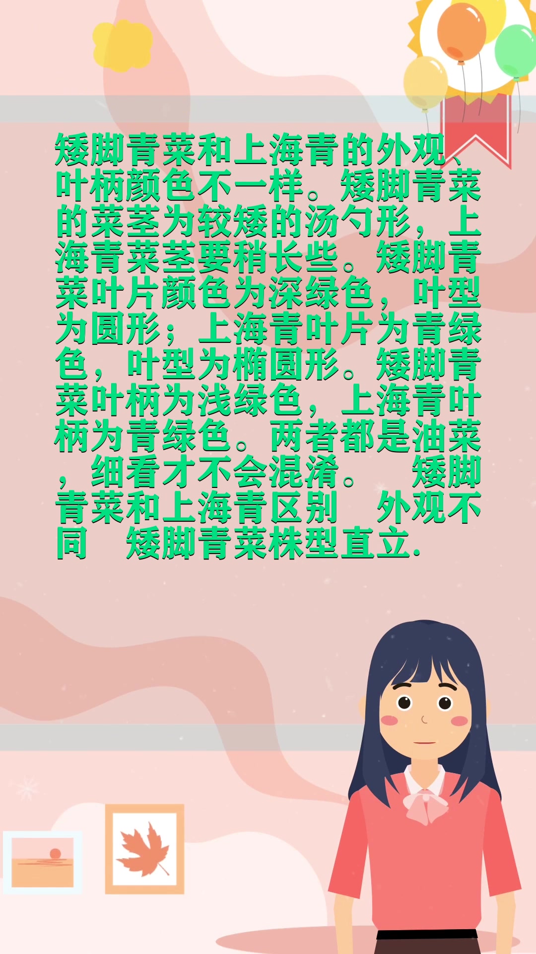 矮脚青菜和上海青区别