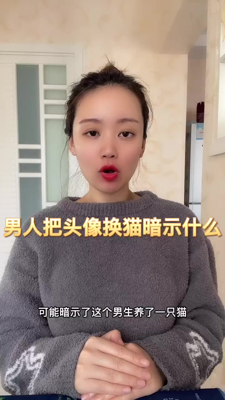 男人把头像换猫暗示什么