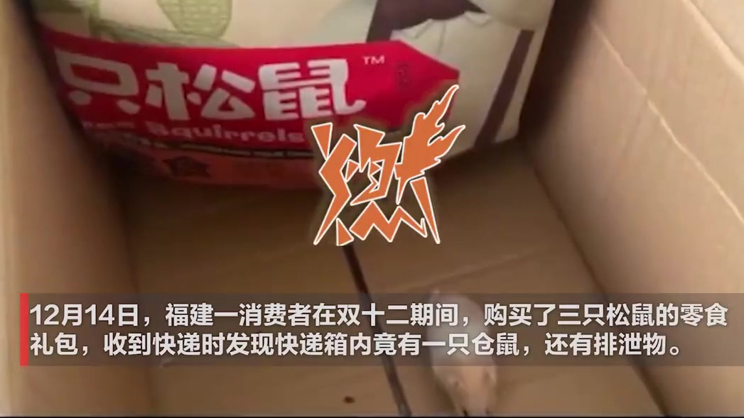 【三只松鼠买零食送仓鼠?官方回应】12月14日,福建一消费者在双十二期间,购买了三只松鼠的