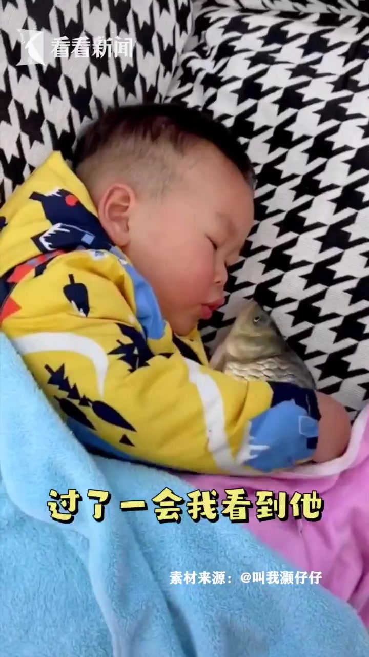 萌娃怕鱼被煮抱着它看剧不撒手 妈妈:鱼还养着