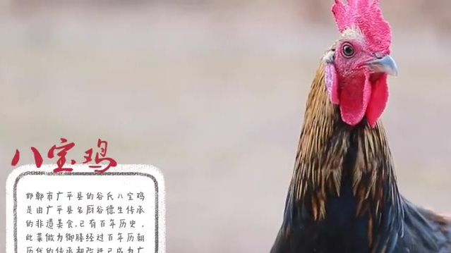 【河北邯郸广平八宝鸡】八宝鸡选用三个月的雏鸡,拨皮去骨,用以填料。精选海参,鱿鱼,干贝,鱼