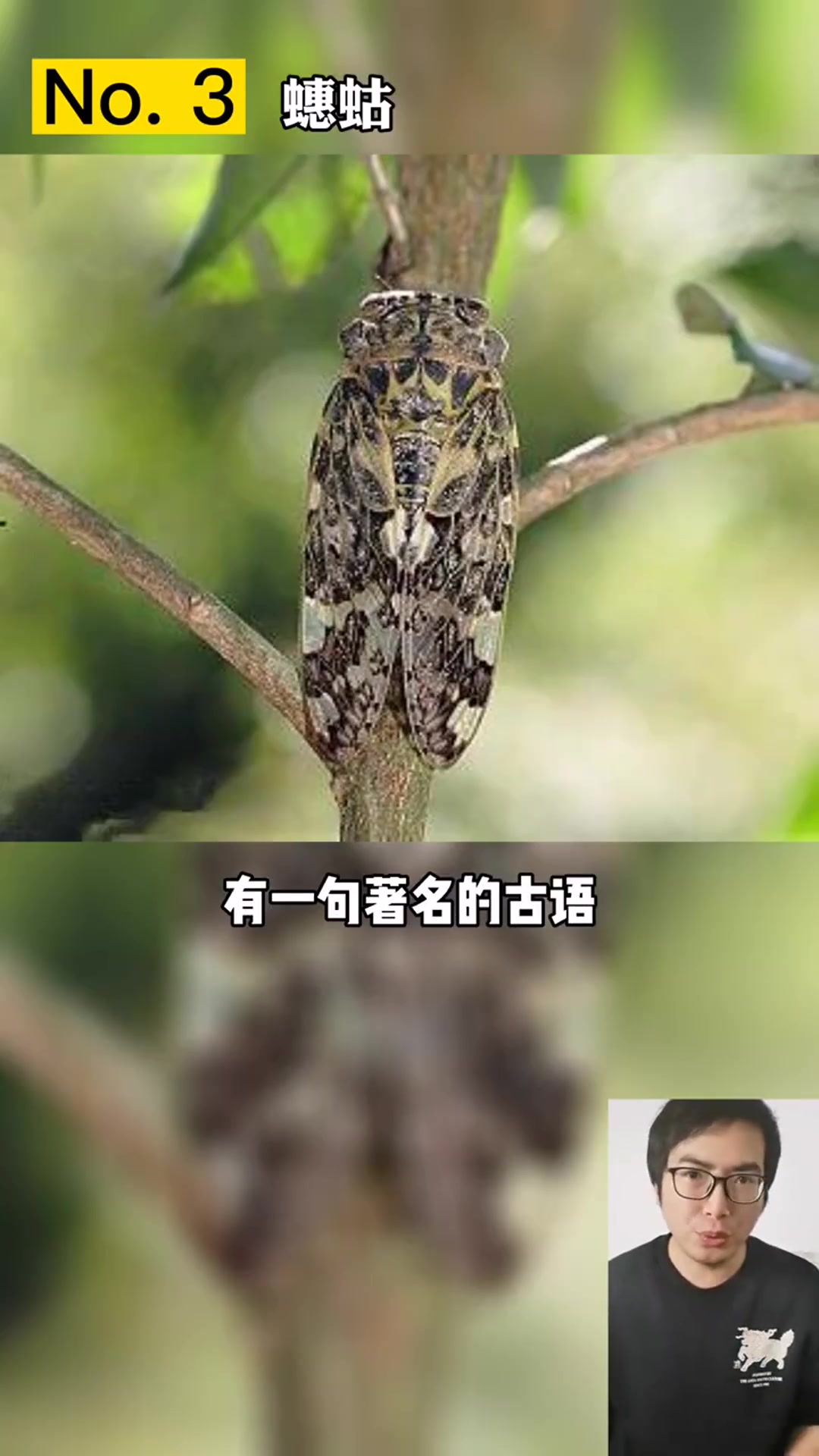 这些动物你见过么