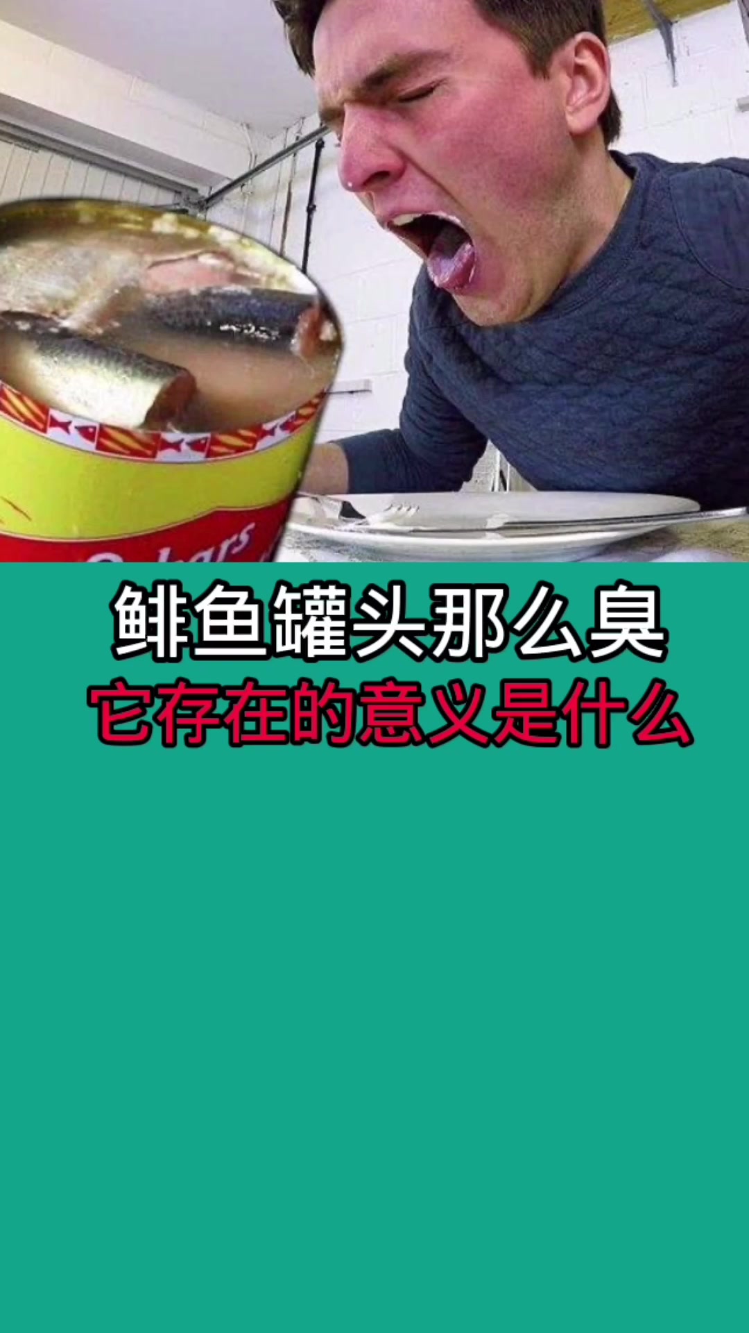 鲱鱼罐头存在的意义是什么