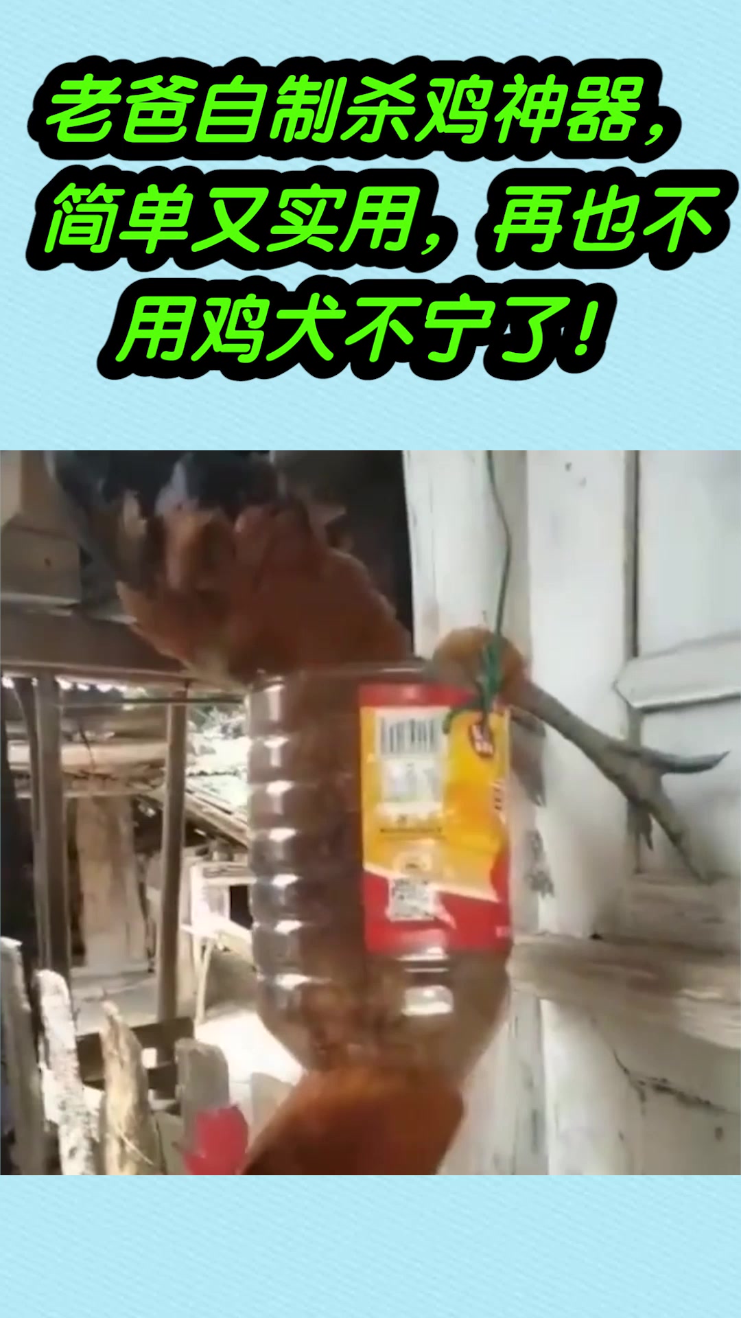 老爸自制杀鸡神器,简单又实用,再也不用鸡犬不宁了!