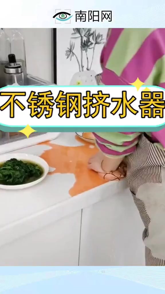 不锈钢挤水器手动榨汁机水果蔬菜挤水挤菜器压馅挤菜水神器厨房 不锈钢挤水器 手动榨汁机挤压器