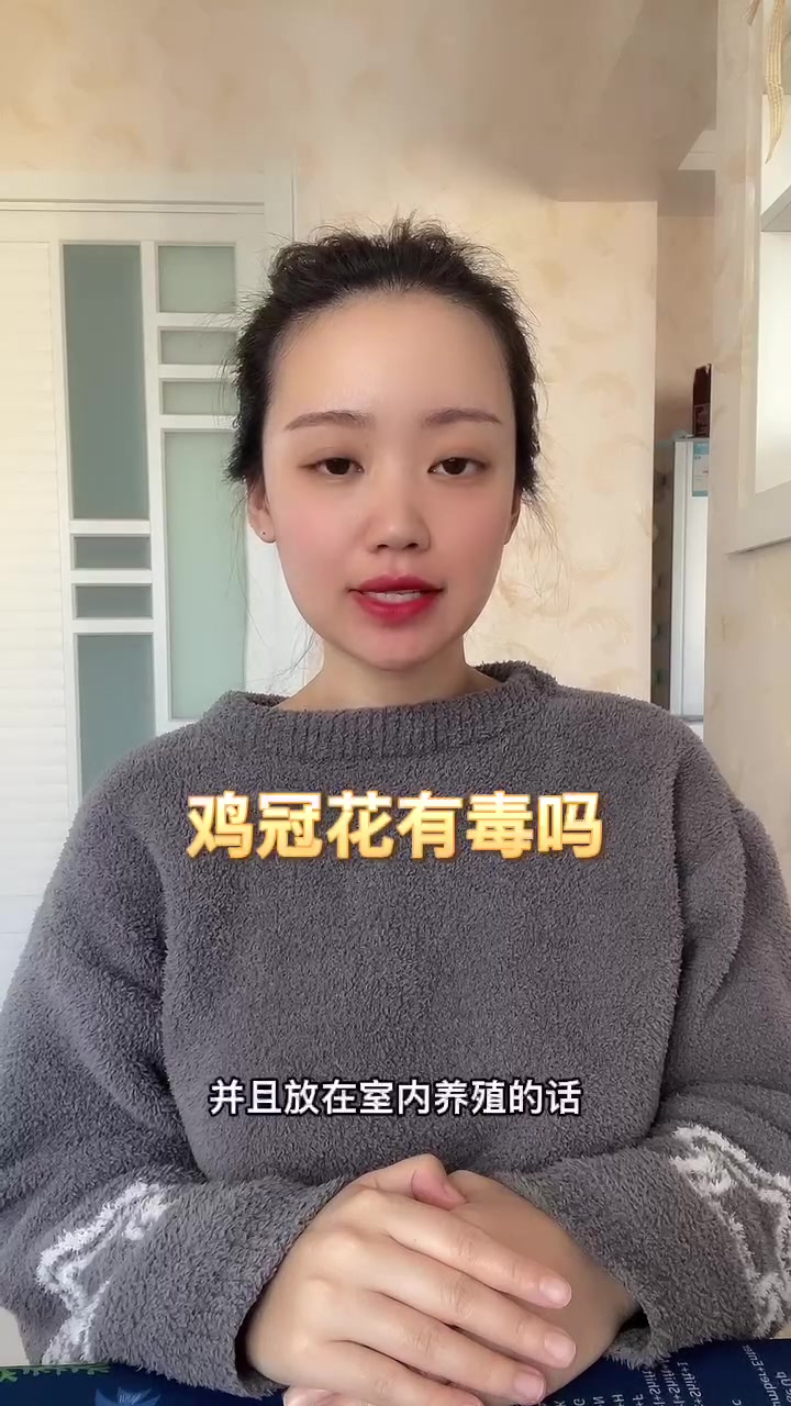 鸡冠花有毒吗   