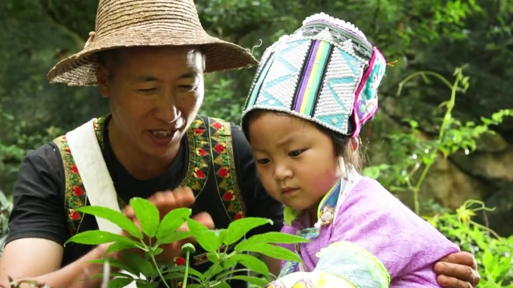 【云南第一位女院士 !她38年辛勤耕耘,让民族药走向世界!】11月18日,2021年两院院