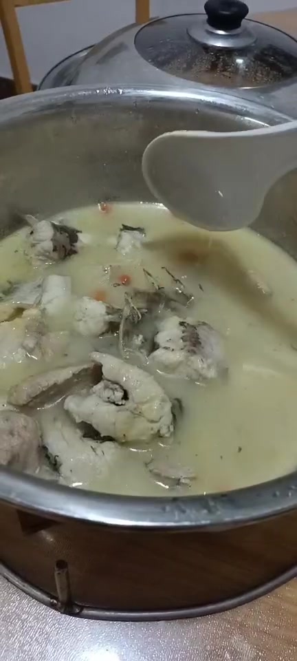 野生的海鳗鱼炖瘦肉当归汤