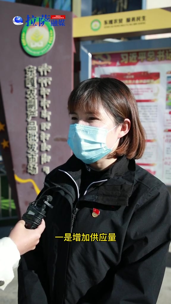 拉萨蔬菜价格稳定,货源储备充足