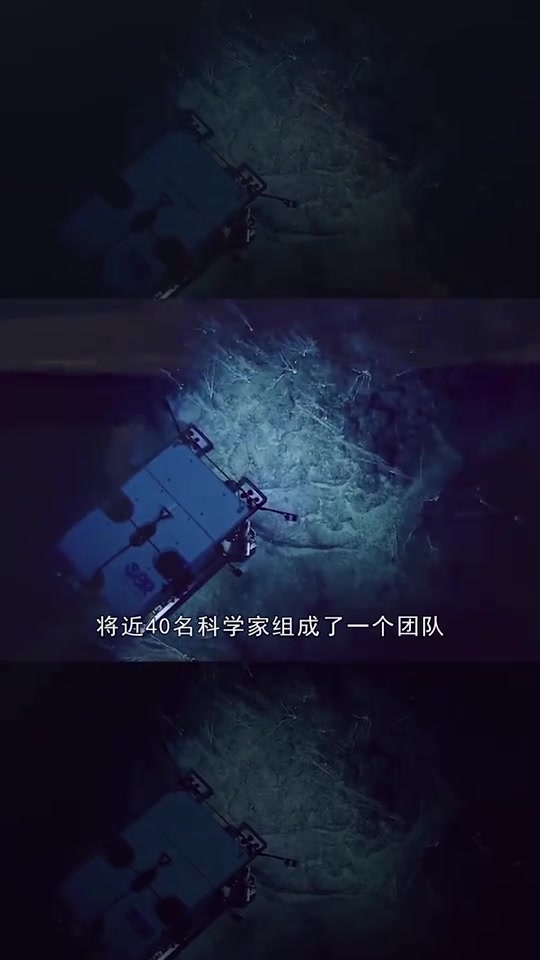 世界之最世界上十大怪异的海洋生物,浑身透明的深海鱼