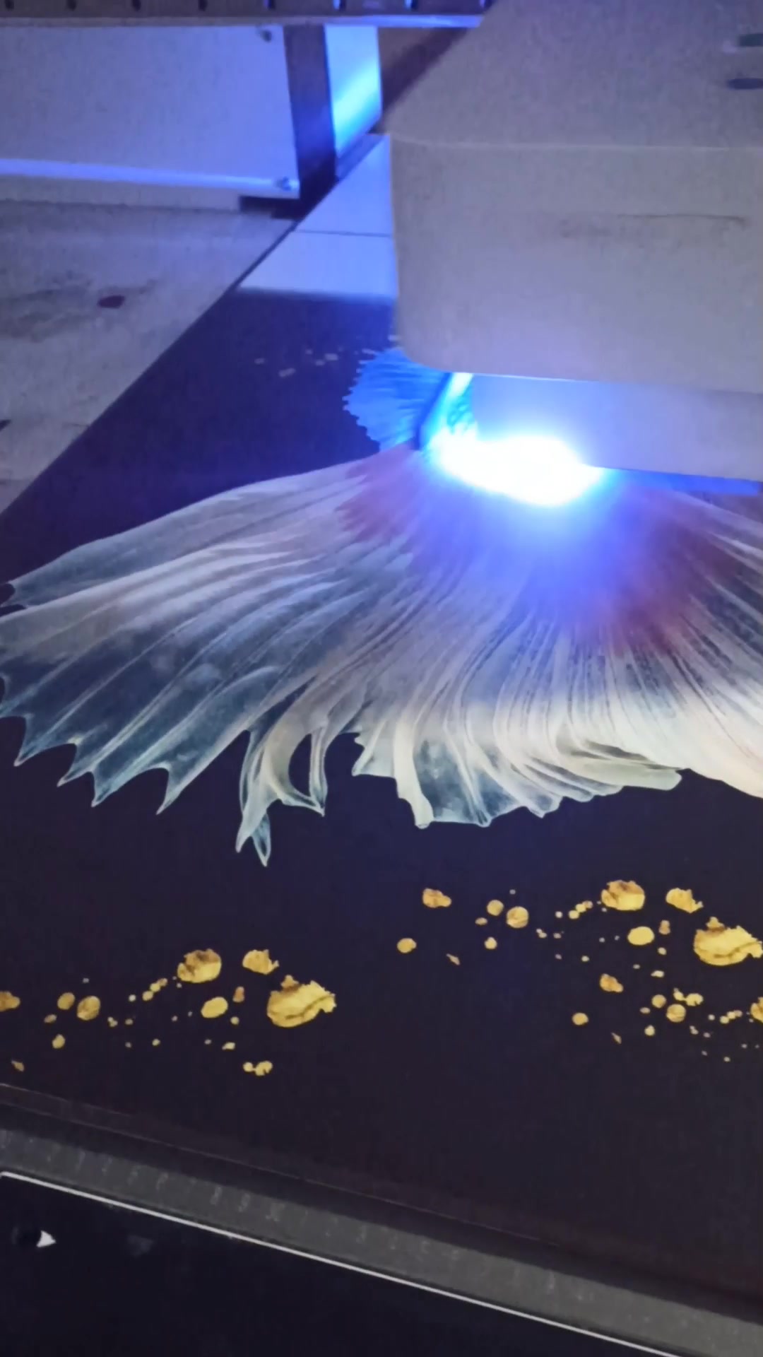 漂亮的金鱼装饰画三联画,沙发后边儿摆放太美了