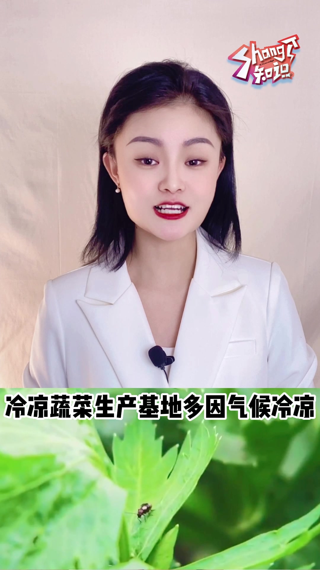 什么是冷凉蔬菜?冷凉蔬菜又叫喜凉蔬菜、反季节蔬菜…
