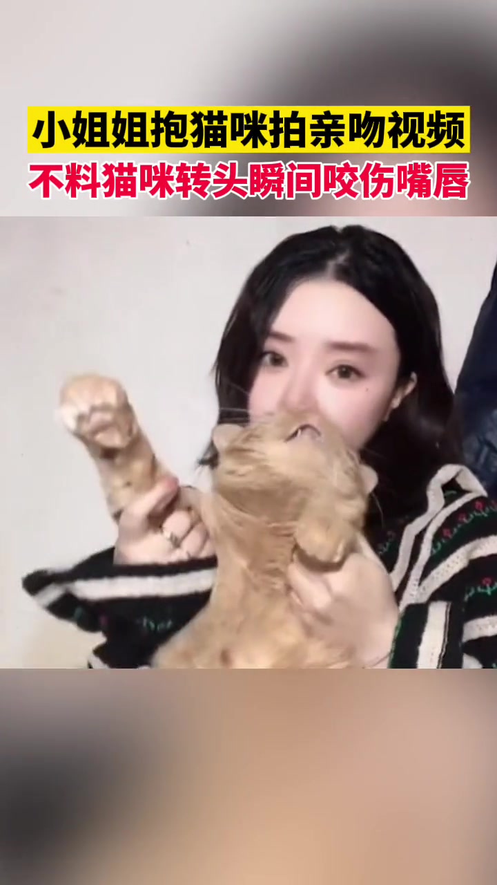 小姐姐抱猫咪拍亲吻视频,不料猫咪转头瞬间咬伤嘴唇