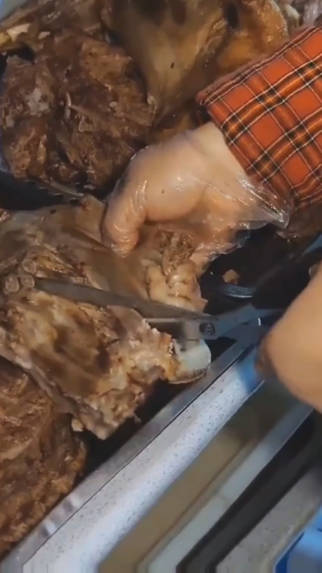 锦州狗肉馆,朝鲜族特色美食“狗肉炖干白菜”,太香了,开造