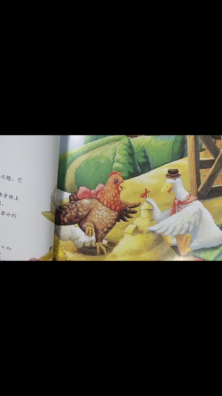 英文绘本《不玩水的鸭子》上