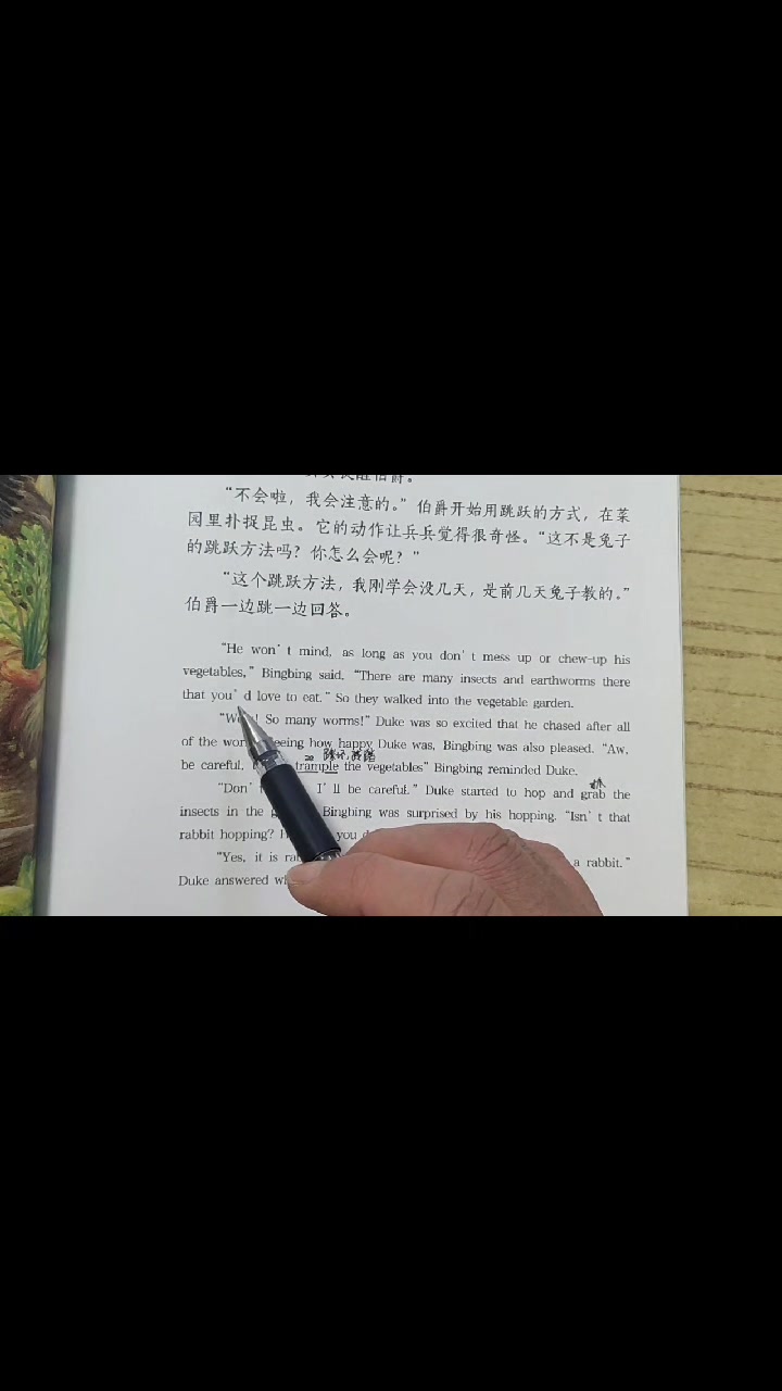 英文绘本《不玩水的鸭子》中