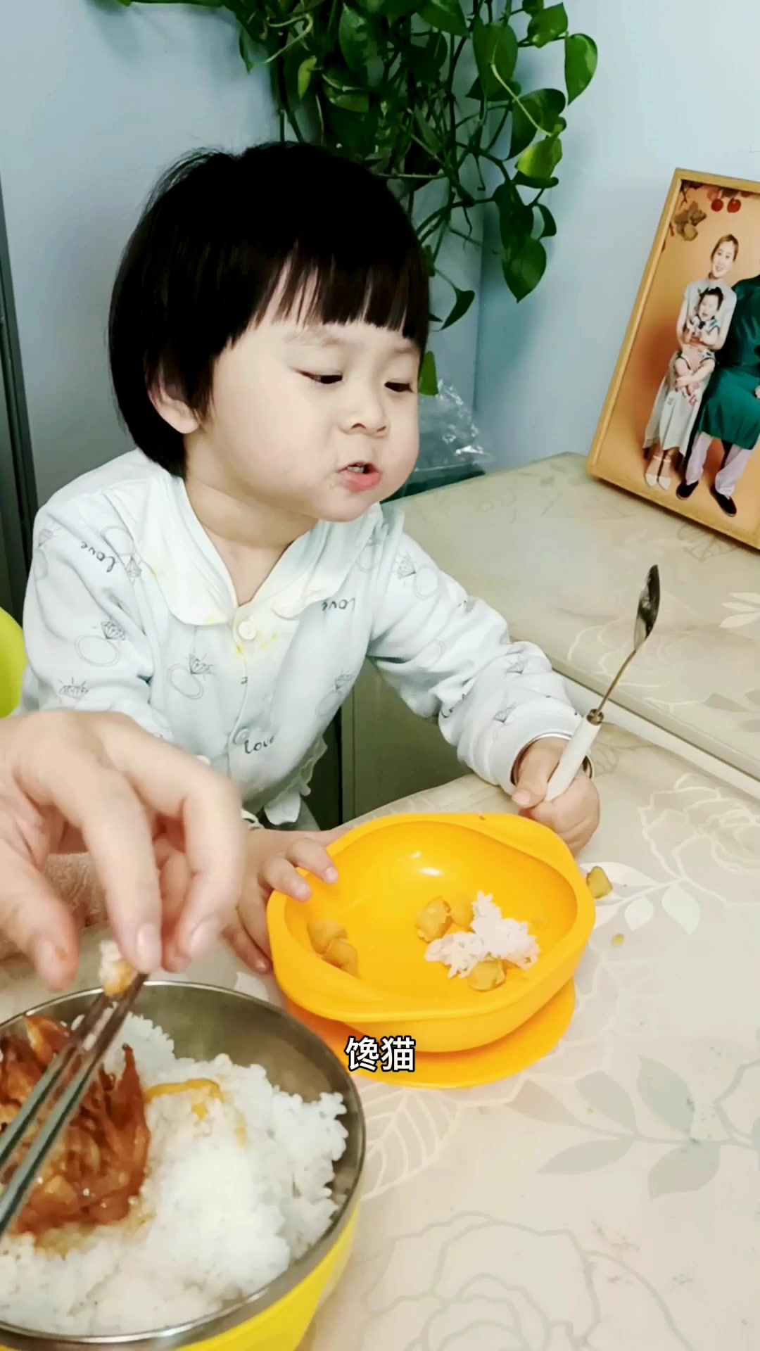 红烧鸡叉土豆宝宝辅食
