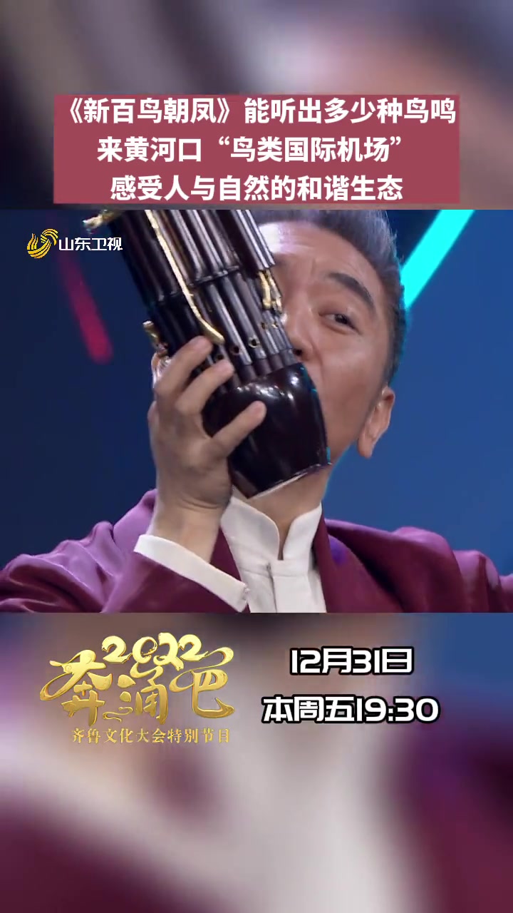 电音摇滚版百鸟朝凤有多燃 天鹅、东方白鹳、黑嘴鸥、绿头鸭、丹顶鹤……你敢信?这些鸟鸣声都是