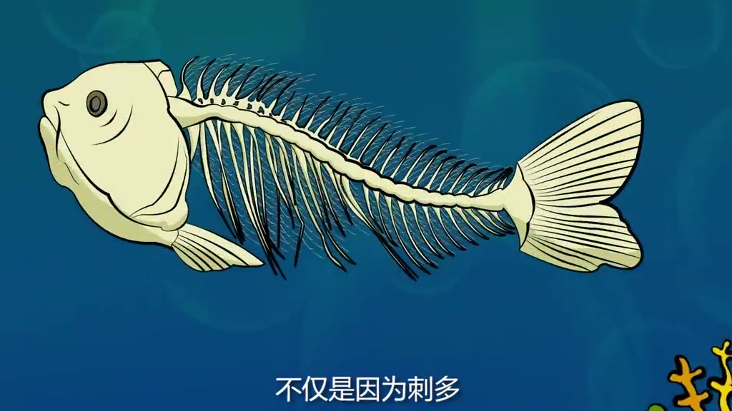 #涨姿势# 【鱼为什么长这么多刺,是不想被吃掉吗?[喵喵]】你吃鱼的时候是不是也想过这个问