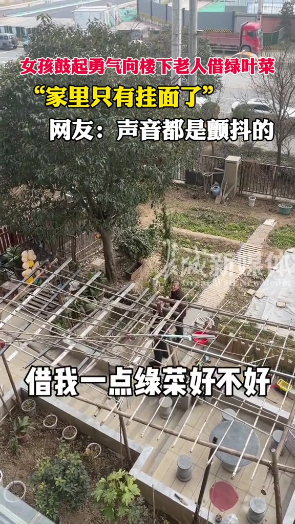12月30 陕西 西安 女孩鼓起勇气向楼下老人借绿叶菜:家里只有挂面了。网友:社恐声音都是