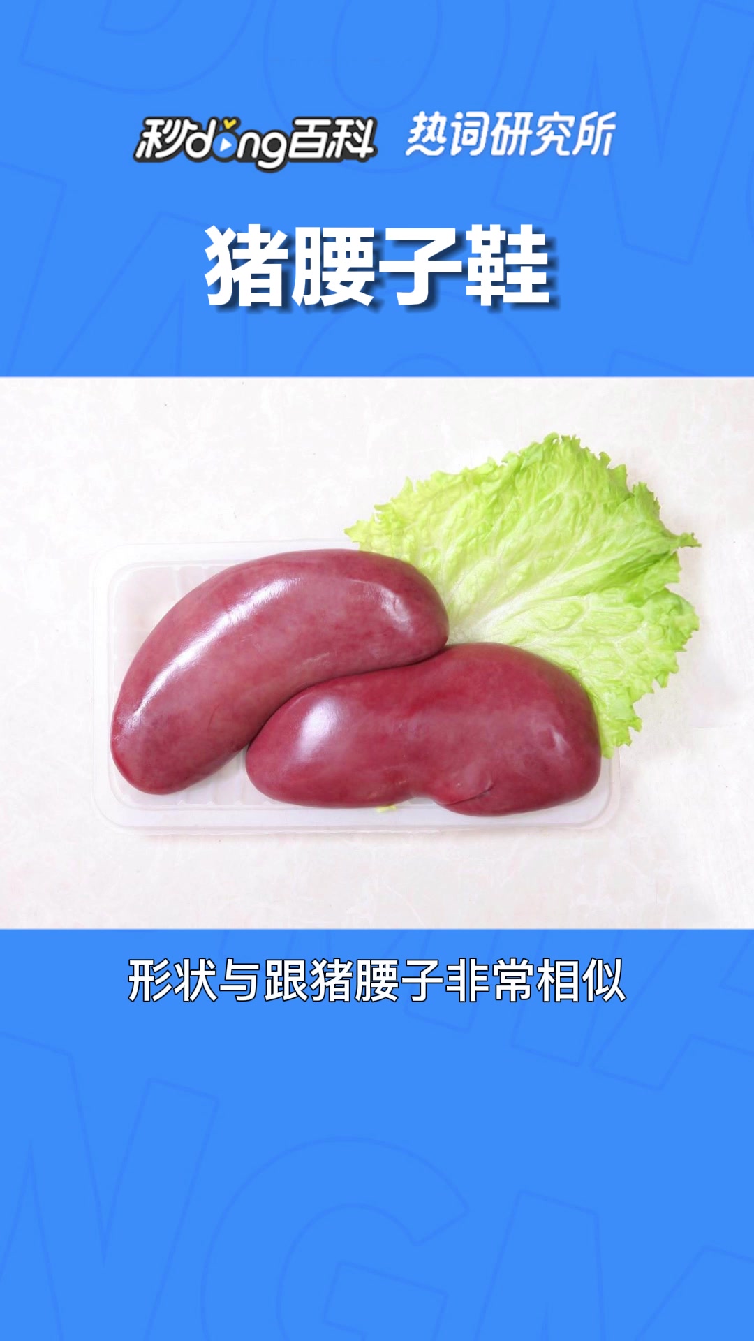 一分钟了解猪腰子鞋