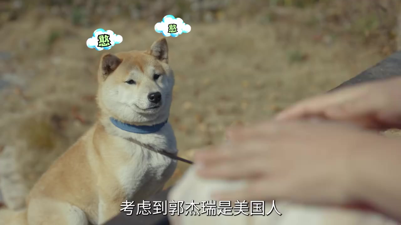 #冬闲变冬忙##我的2021故事#好大的一只鸡,比国内的肉食鸡大多了,这样做出来够好几个人