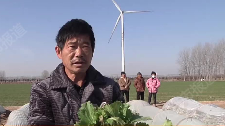 【农户50亩薄膜被人割破 悬赏10万寻找幕后黑手】据@都市报道 消息:12月25日,河南开