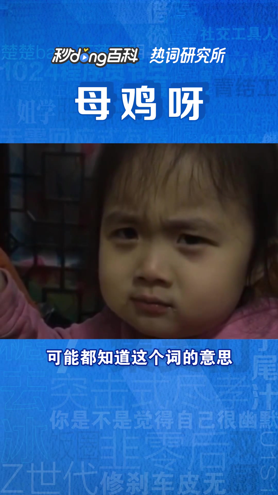 母鸡呀是个什么梗?