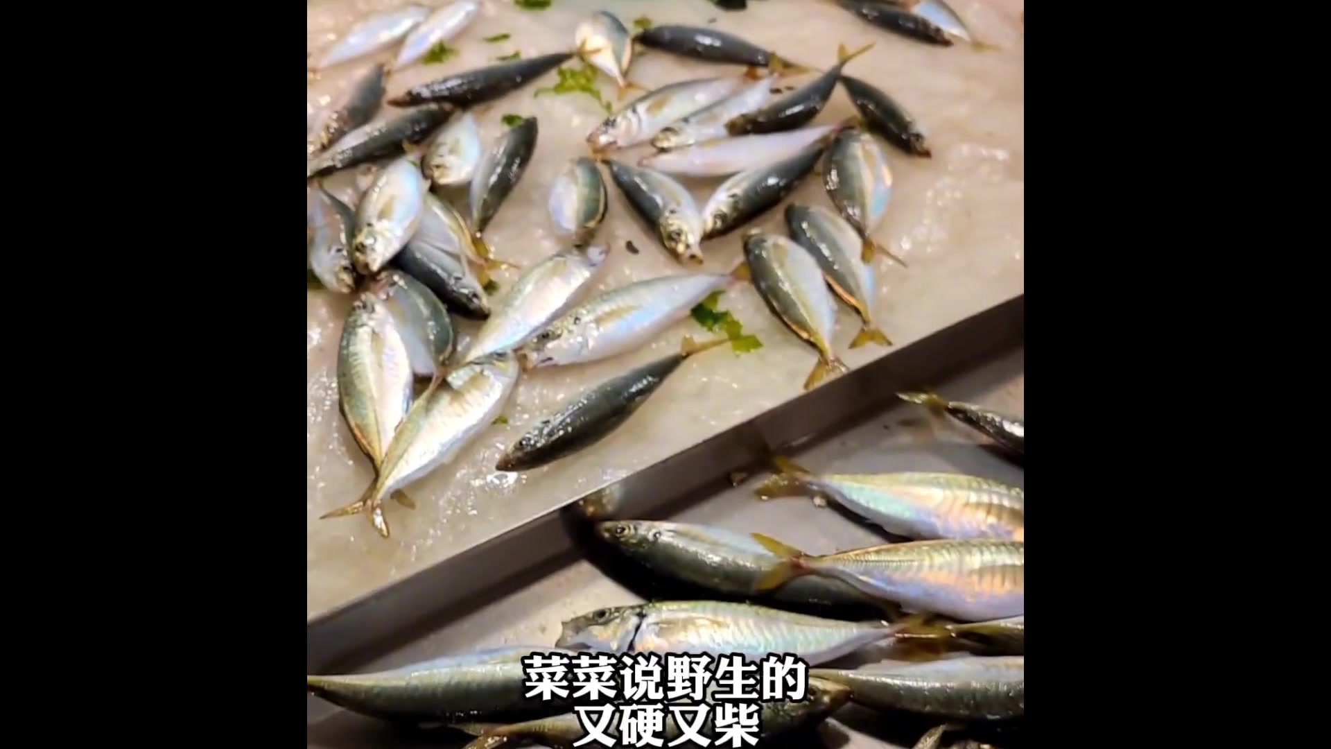 鉴定福建东山岛的市场海鲜,海里物产丰富,这些鱼你能说出名字吗