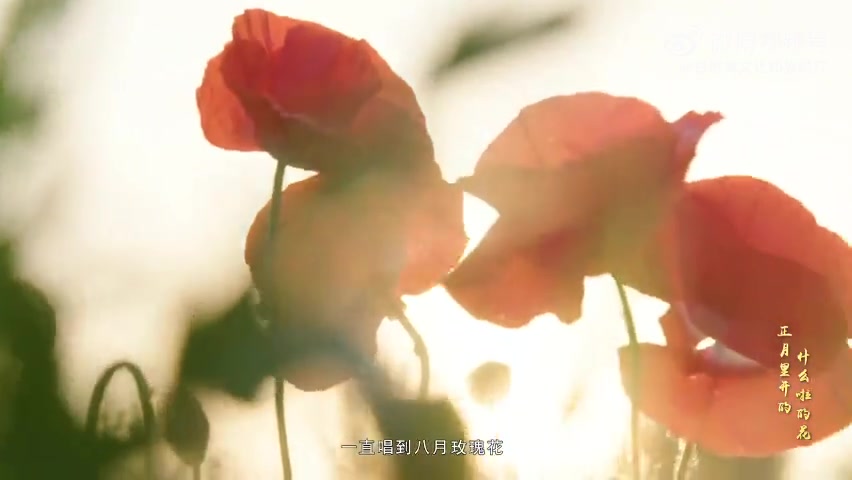 　　庆阳剪纸,凭借一把剪刀一张纸,眼见手捉,意随心到,无论率性“冒铰”或“照猫画虎”,都能