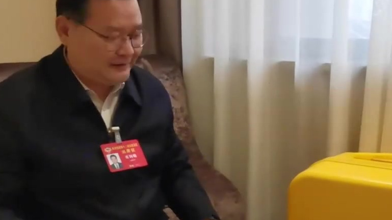 【拉着河宝行李箱参会,张国晓建议郑州筹办世界吉祥物大会】今年两会,省政协委员、河南省动漫产
