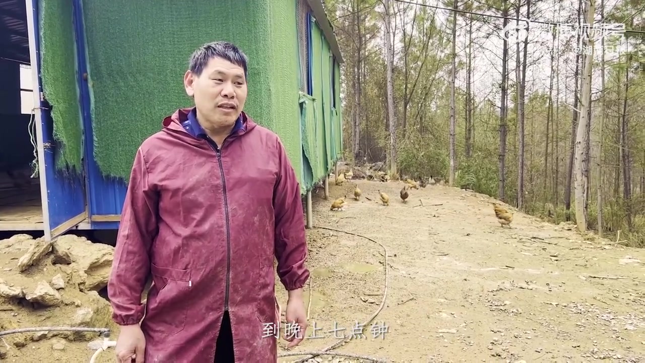 【印遇龙院士直播卖霸总鸡来啦! 院士直播卖鸡 】助力乡村振兴,院士主播齐上阵!锁定衣哥抖音