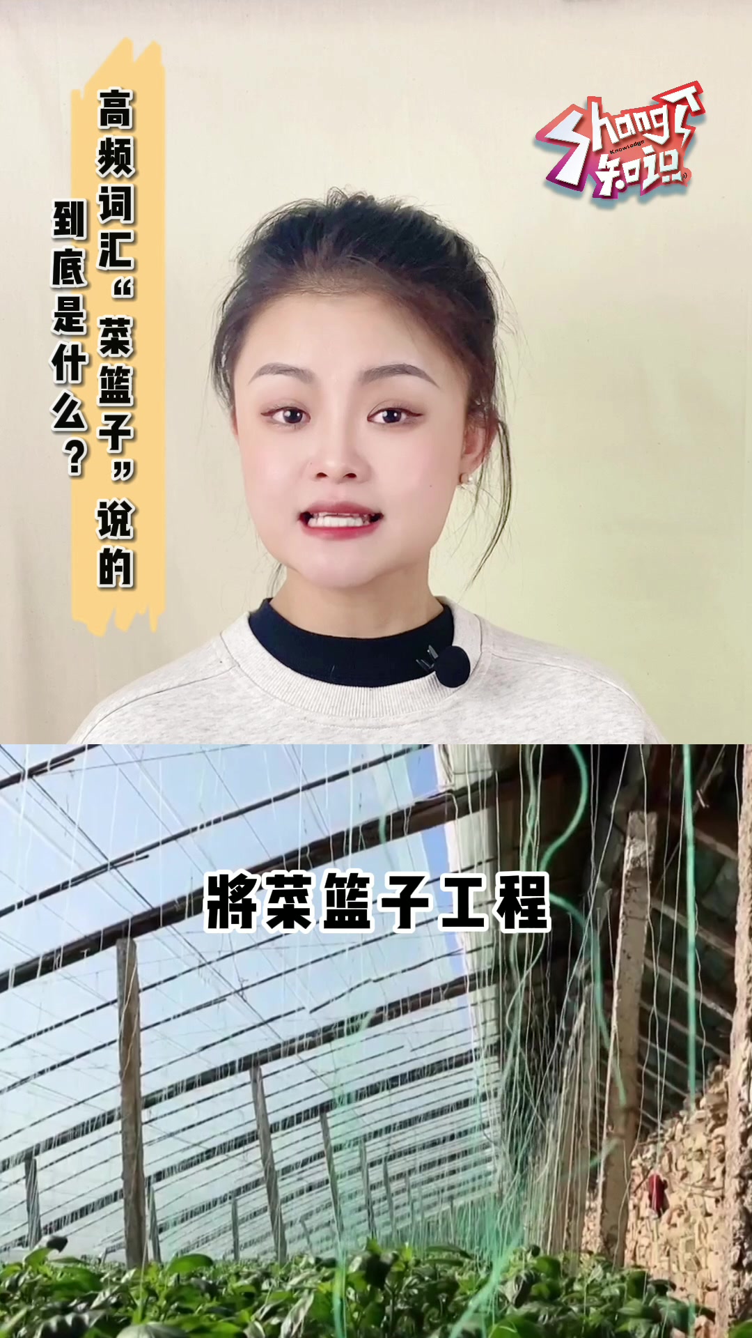 “菜篮子”让我们的餐桌更加丰盛,“菜篮子工程”是什么?